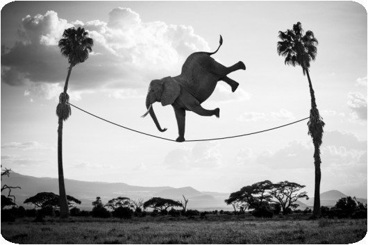 Thomas Subtil - Hakuna Matata - Safari Kenya 3
