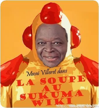 Kibaki 2007