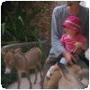 Retour sur nos vacances à l’île de Lamu… » Ballade sur l'âne (4)