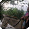 Retour sur nos vacances à l’île de Lamu… » Ballade sur l'âne (5)