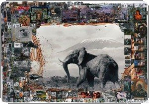 Peter Beard - Son oeuvre, ses collages