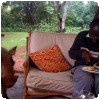 Nicholas mange à coté d´un phacochère