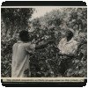 L'Afrique coloniale en 10 000 photos ! » The National Archives - Photo du Kenya