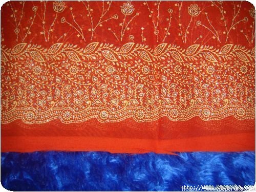 Détails du sari