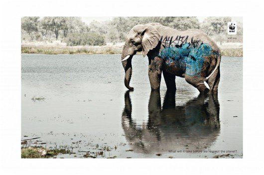 Un graffiti sur un élephant (Kenya)