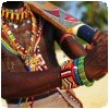 Des cricketeurs maasai !! » Maasai cricket