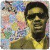 Michael Anderson, un artiste qui colle ! » The Many Colors of Stevie Wonder