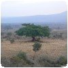Vacances à Amboseli, Tsavo et Mombasa - 2007 » LA photo !! (2)