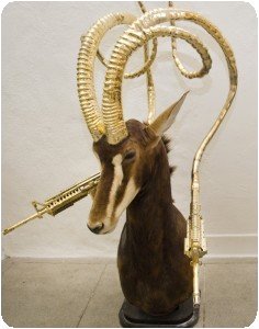Peter Gronquist - Antilope des sables