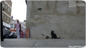 Banksy - Ratapult