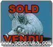 VENDU/SOLD OUT - Un original de Roa !