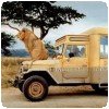Kad Merad dans le film “Safari” - Le Kenya relégué au second plan !! » Safari (4)