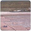 Le sel de Magadi