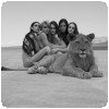 Afrique et photos » Sylvie Blum - Big cats