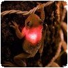 Après la grenouille qui mange des diodes, le chiot qui éclaire la nuit :) » Grenouille qui avale une diode de Noel